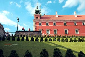 美国队因失误频频输球，中国队赢得胜利