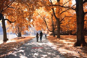 奥斯纳布吕克主场大胜，士气高涨