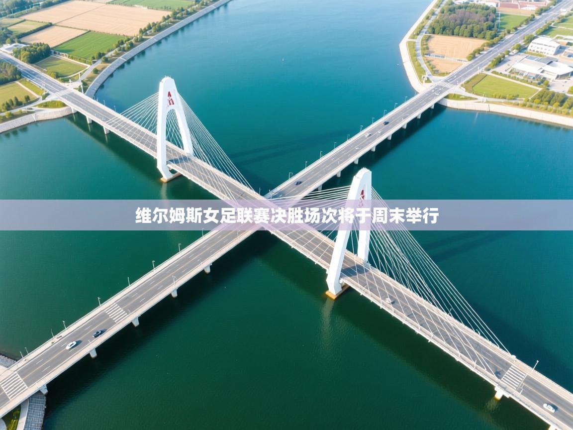 维尔姆斯女足联赛决胜场次将于周末举行  第2张