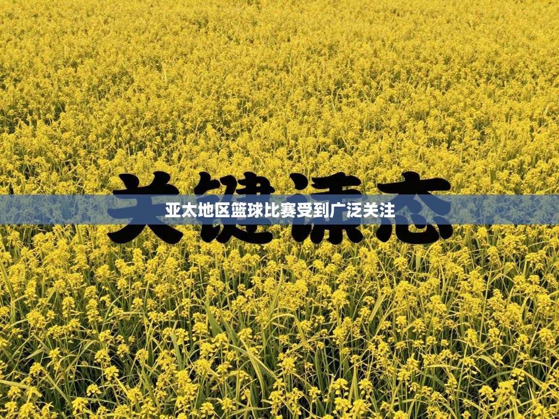 亚太地区篮球比赛受到广泛关注  第2张