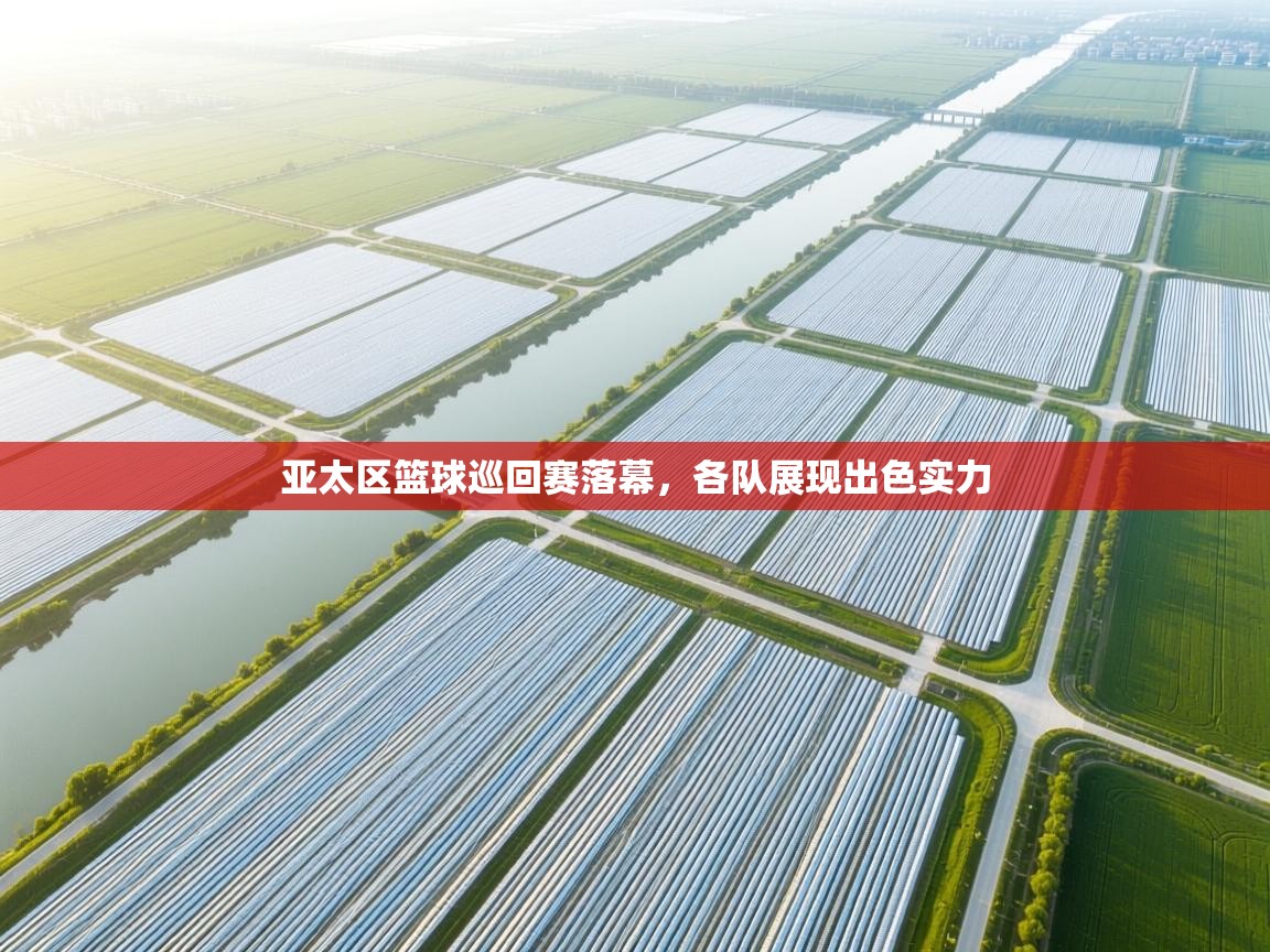 亚太区篮球巡回赛落幕，各队展现出色实力  第2张