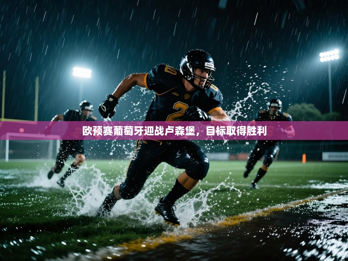 欧预赛葡萄牙迎战卢森堡，目标取得胜利  第2张