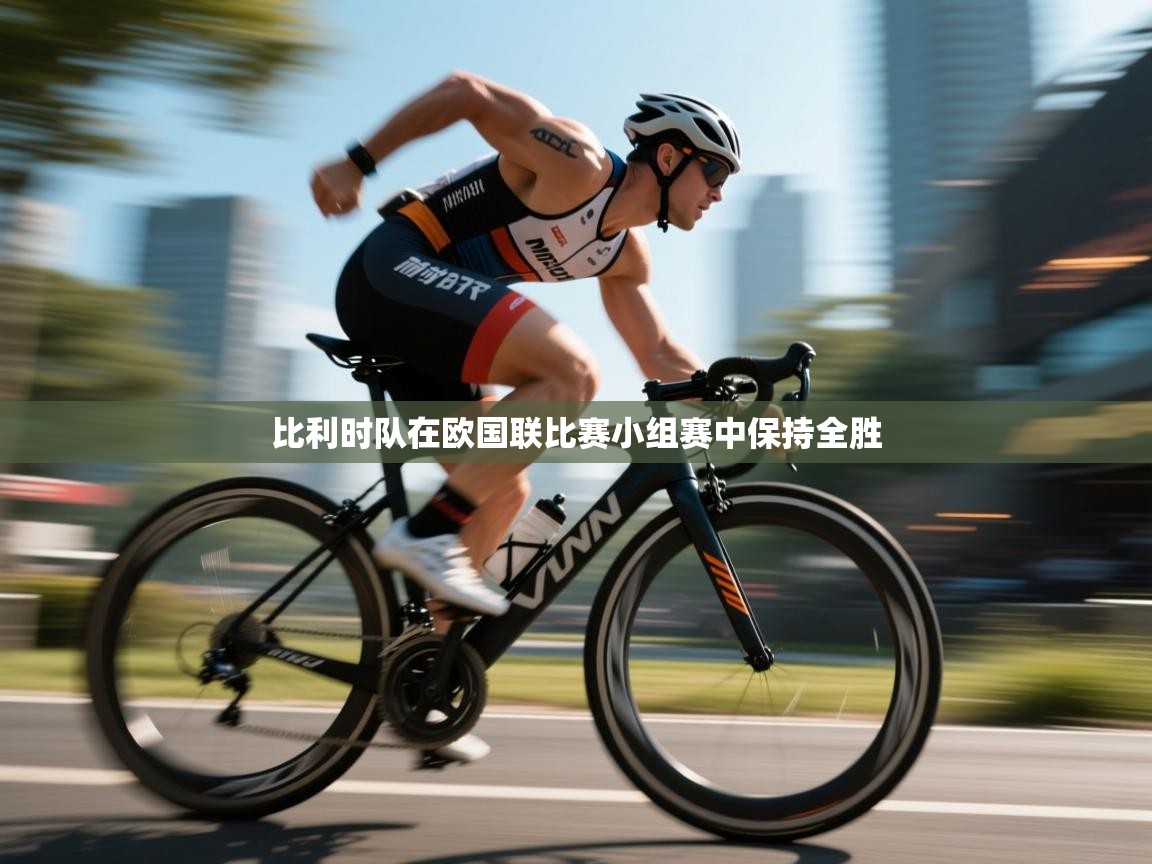 比利时队在欧国联比赛小组赛中保持全胜 第1张