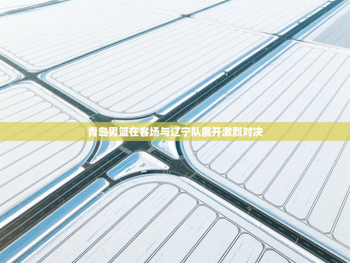 青岛男篮在客场与辽宁队展开激烈对决  第2张