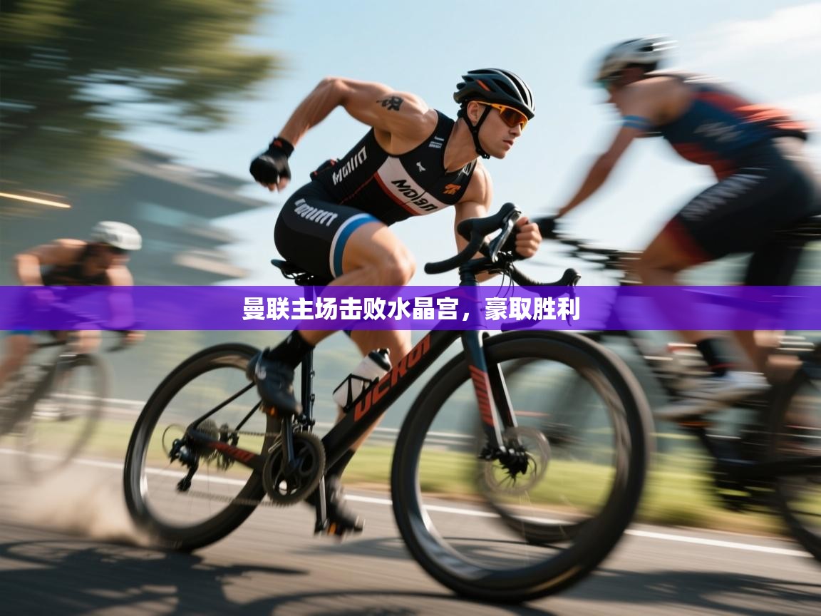 曼联主场击败水晶宫,豪取胜利 第1张