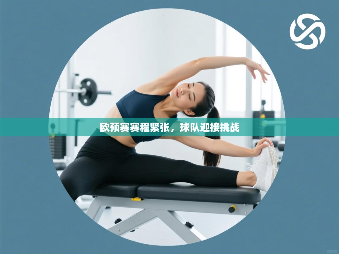欧预赛赛程紧张,球队迎接挑战 第1张